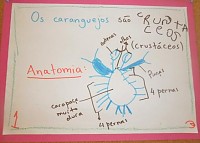 Projetos em cadeia